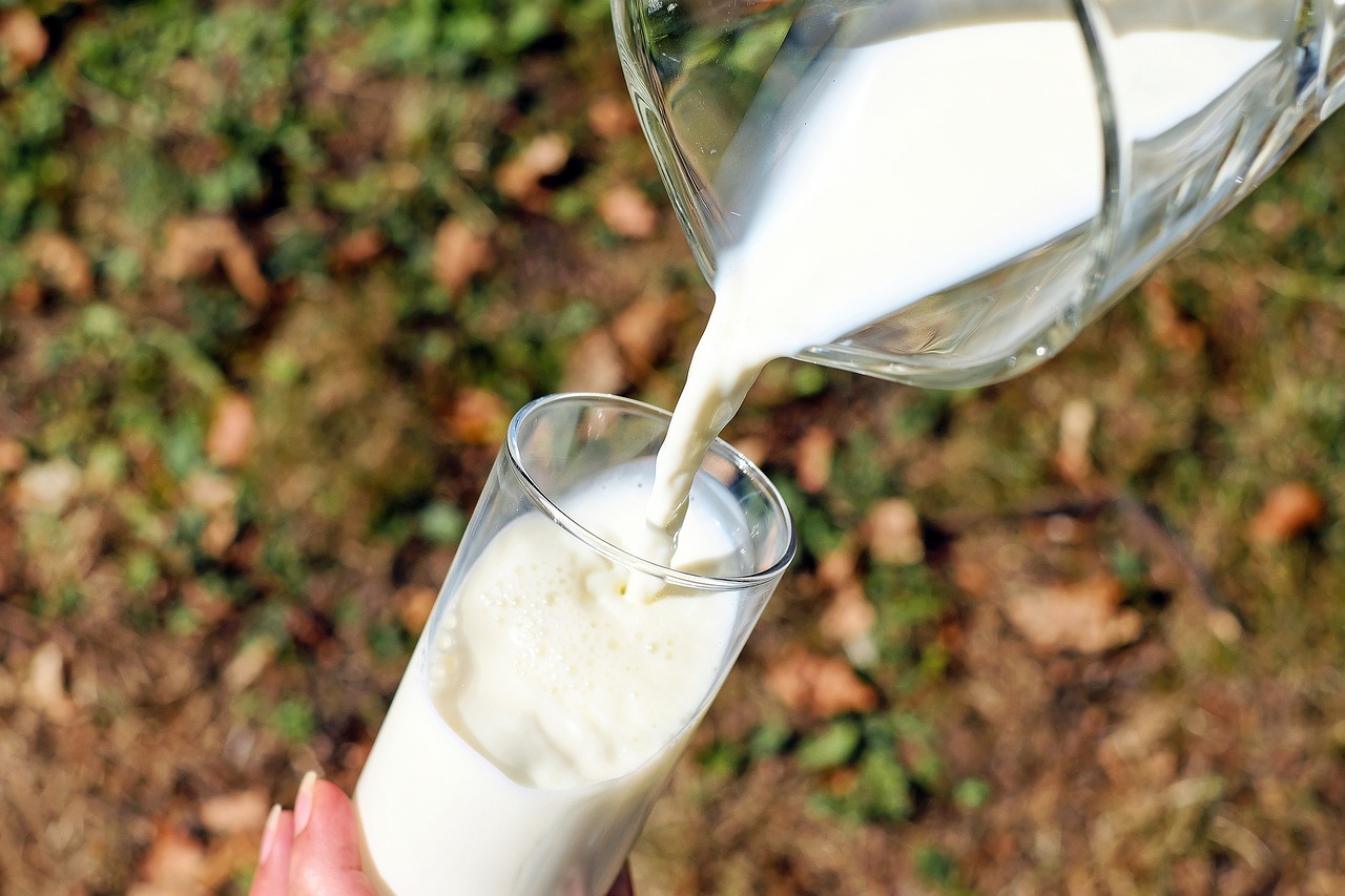 Mléko na hubnutí – výhody a nutriční význam