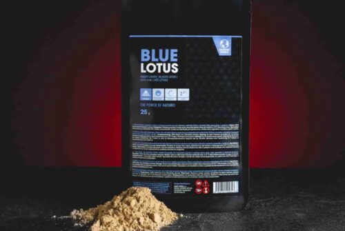 Modrý lotus: Staroegyptská rostlina pro moderní dobu